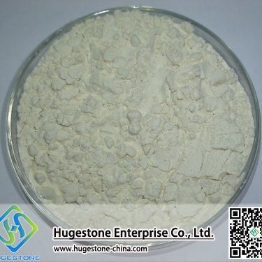 Kosher Halal FCCIV/FAO/Q-AFFOO3-2005 Xanthangummi 80-Mesh / 200-Mesh für den Nährwert